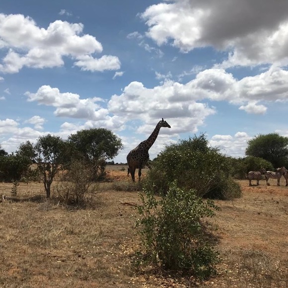 Meet your Posher - Picture 3 of 7